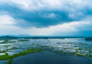 Best tourist places in Odisha- Anshupa Lake